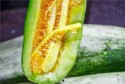 黑料吃瓜网apk普通安装 