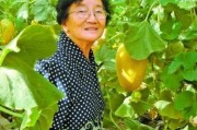 百度网盘最新客户端 