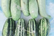 内蒙古蒙速办app下载 